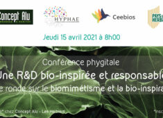 conference-ceebios-hyphae-concept-alu-les-herbiers